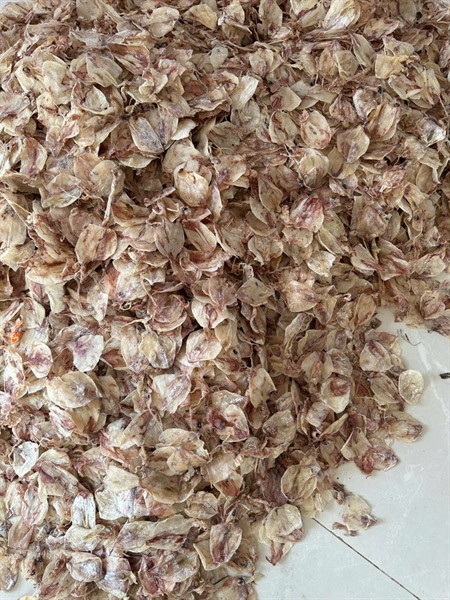 KHÔ MỰC ĐỒNG TIỀN