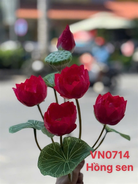 BỤI SEN VẢI VN GIẢ THÁI H 50cm VN0714