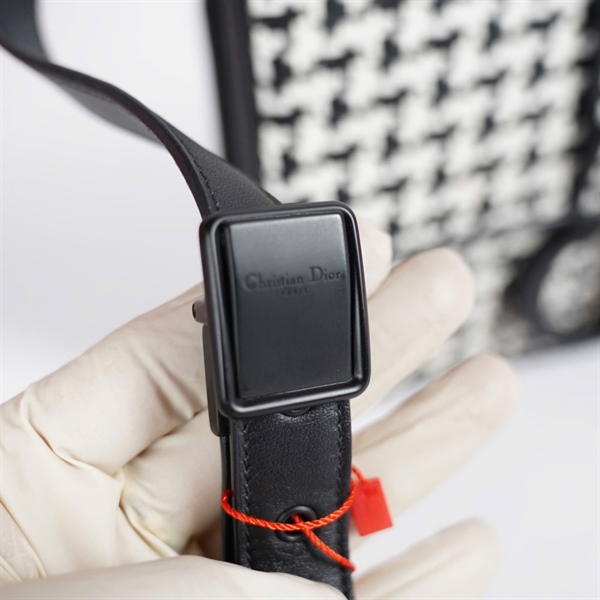 Túi Dior đeo chéo trắng đen (19-MA-1129) sz24 KG+