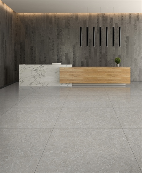 TP006D12-Gạch bóng mài men granite 9mm-2v/t