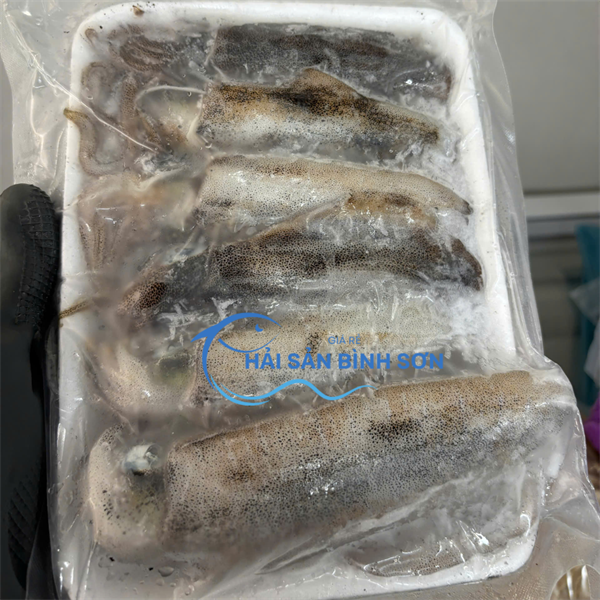 Mực Đũi size lớn khay 0.5kg