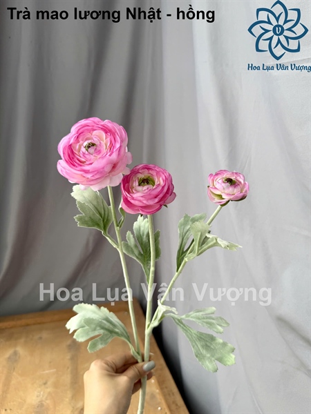 Trà mao lương nhật - hồng - Hoa cành dài - Hoa Lụa Vân Vượng