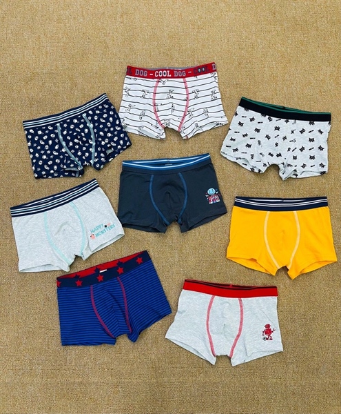 Set 5 quần briefs đùi bé trai TEX