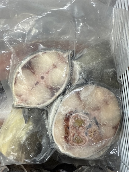 Cá Bớp