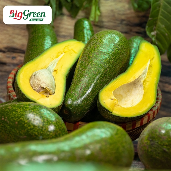 Bơ Sáp Dưa Leo Dak Lak