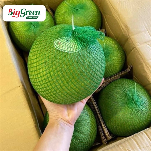 Bưởi Da Xanh Tam Tân Vietgap