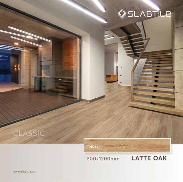 TN012D22-Gạch vân gỗ matt hiệu ứng granite 9mm 6v/t