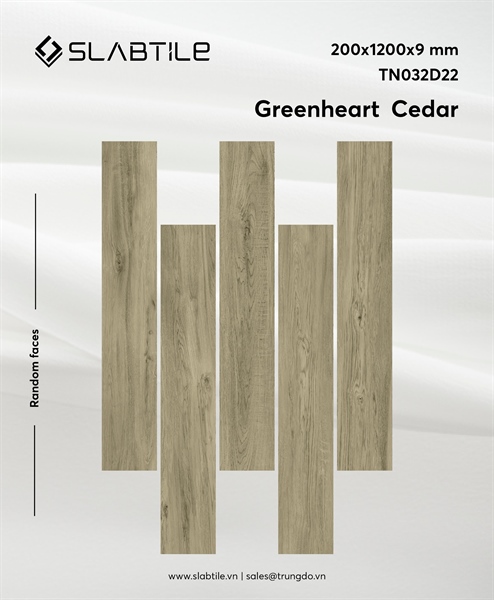 TN032D22-Gạch vân gỗ matt hiệu ứng granite 9mm-6v/t