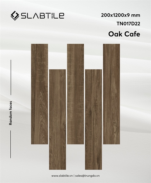 TN017D22-Gạch vân gỗ matt hiệu ứng granite 9mm-6v/t