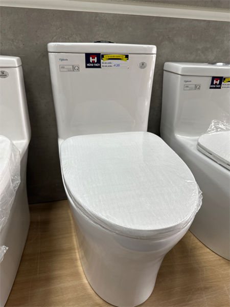 Bệt két liền VIGLACERA V63