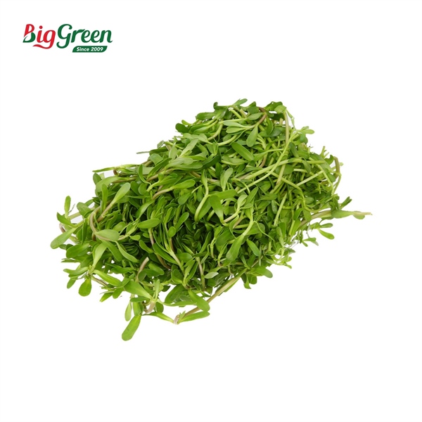 Rau Đắng Hữu Cơ Đại Ngàn