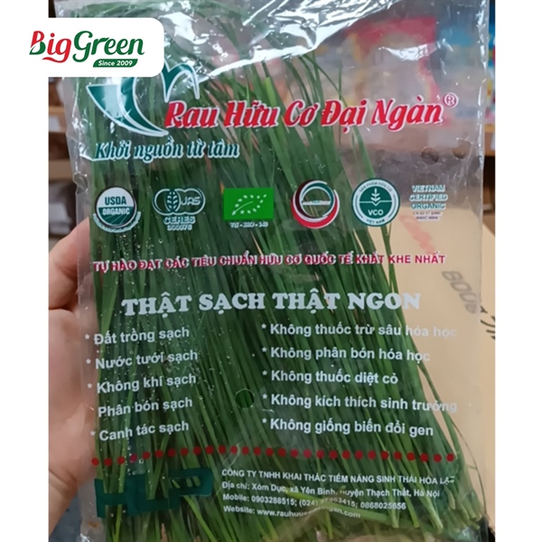 Lá Hẹ Đại Ngàn