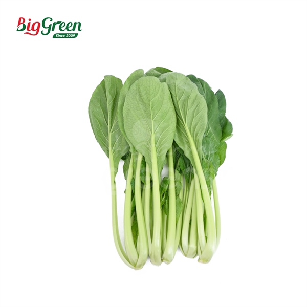 Rau Cải Ngọt