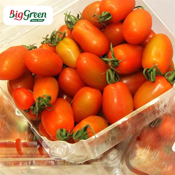 Cà Chua Bi Hữu Cơ - Pgs