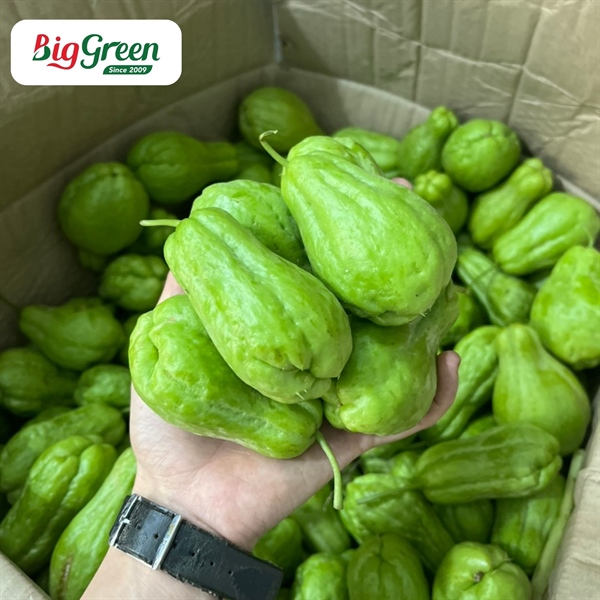 Quả Su Su Bao Tử