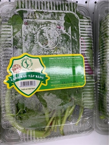 Sx canh rau tập tàng nấm rơm