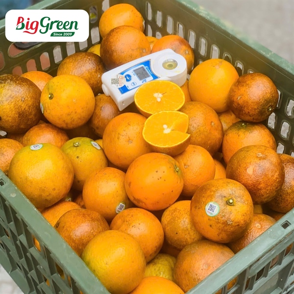 Cam HD Hữu Cơ - Hòa Bình