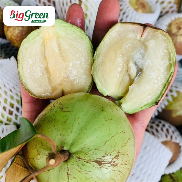 Vú Sữa Hợp Đức Tân Yên - Bắc Giang