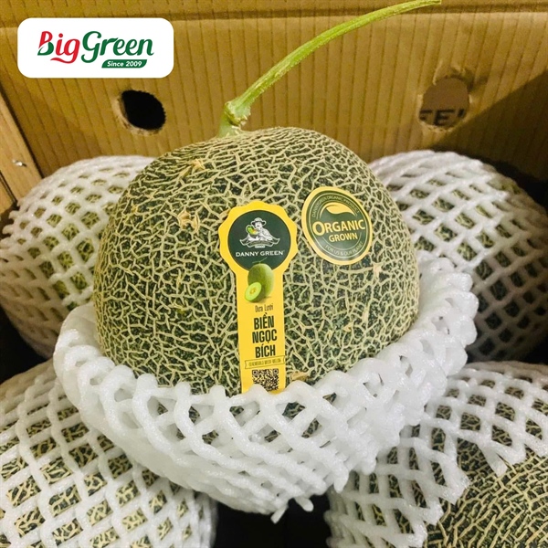 Dưa Lưới Biển Hằng Nga Danny