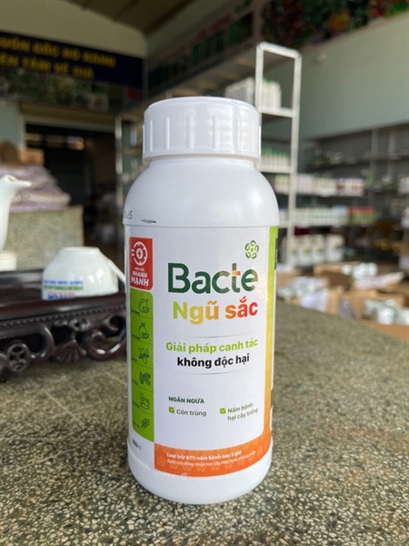 BACTE NGŨ SẮC