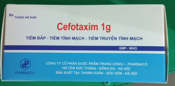 Cefotaxim 1g (K*600 lọ) (Hộp 10 lọ) - TW1