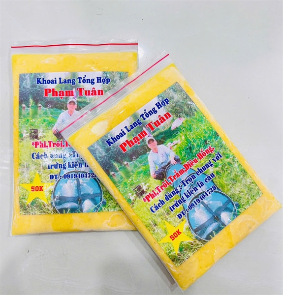 Khoai Lang Phạm Tuân