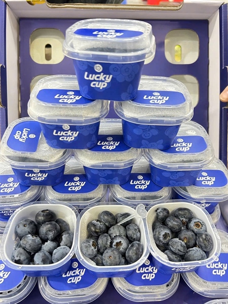 Việt Quất Lucky Cup