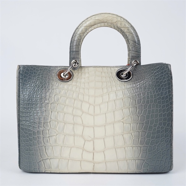 Túi Dior Handle xám kèm ví+ lót form (09-MA-0194) sz32 KG+