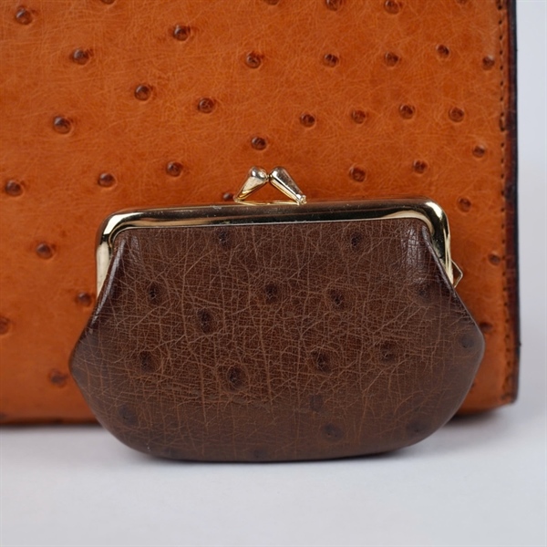 Túi Celine Handle nâu da đà điểu kèm ví sz28 KG+