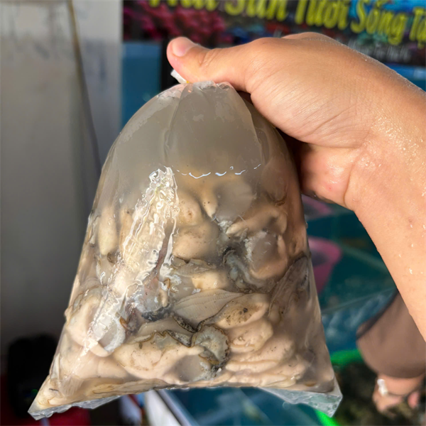 Ruột Hàu Sữa túi 0.5 kg