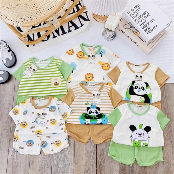 Bộ cộc thun lạnh