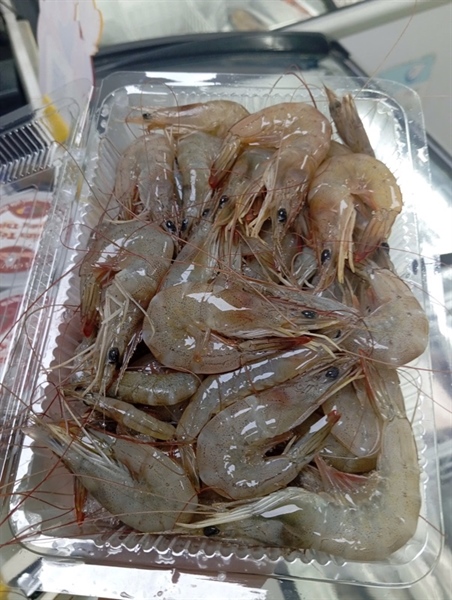 Tôm Lớt Nhỏ