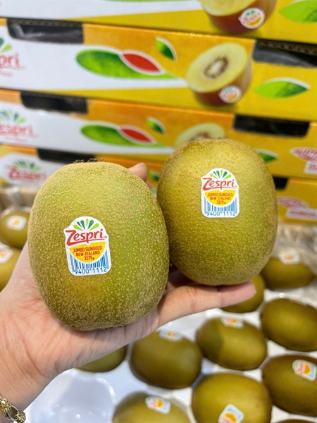 Kiwi Vàng New Zealand