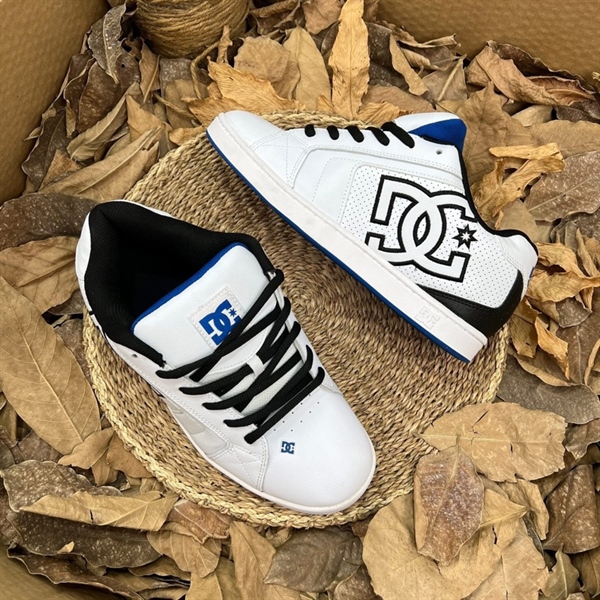 Sneakers DC Skateboard 1