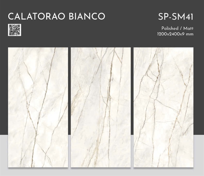 1200*2400-SP41-Đá mài bóng granite 9mm-1v/t