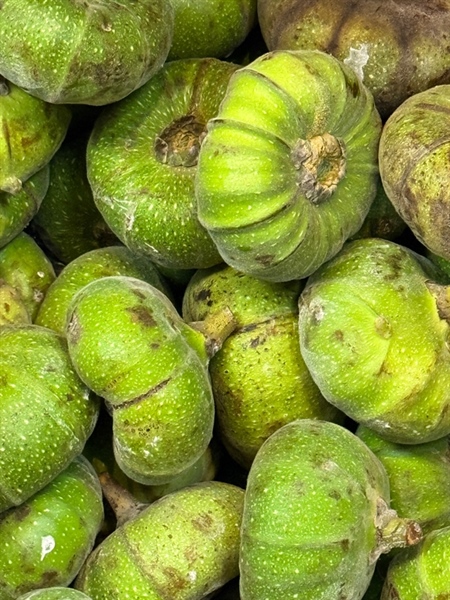 Trái Vả