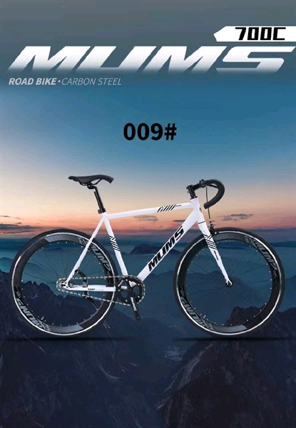 Fixgead