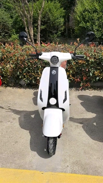 T1 Plus