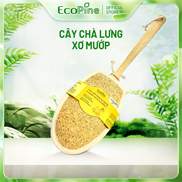 Cây Chà Lưng Xơ Mướp Dài 45cm - Làng Mướp