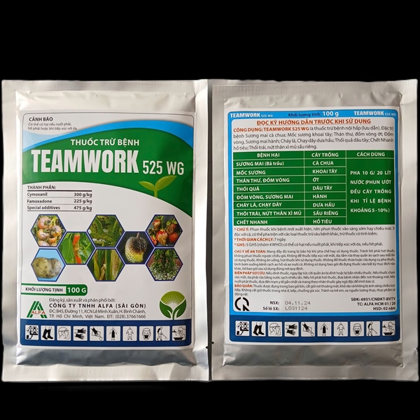 TEAMWORK 525WG