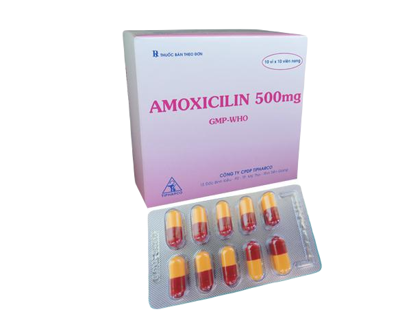Amoxicilin 500mg tipharco (h/100v)