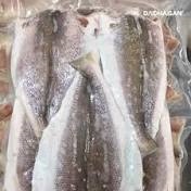 CÁ ĐÙ MỘT NẮNG 4c 1/2 kg