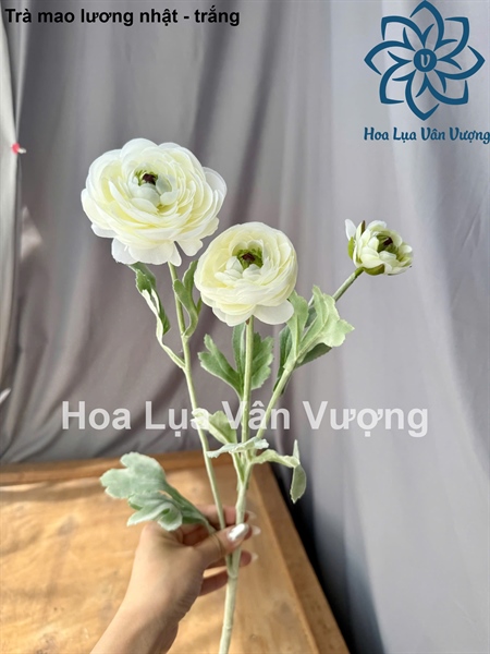Trà mao lương nhật - trắng - Hoa cành dài - Hoa Lụa Vân Vượng