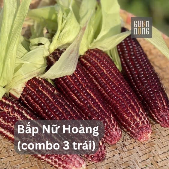 Bắp Nữ Hoàng | 2 trái