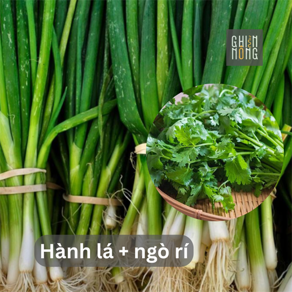 Hành Lá + Ngò Rí | 120g