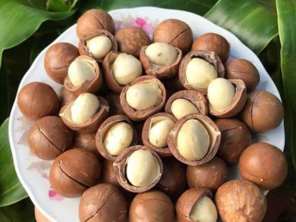Macca Nứt Vỏ Tây Nguyên Nhà Mộc (hàng trung)