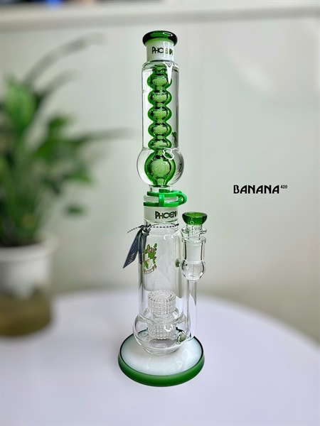 Bongs Glycerin Coil Phoenix / 42CM