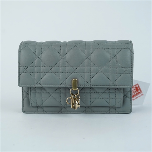 Túi Dior đeo chéo xám (12-MA-0262) sz19 KG+