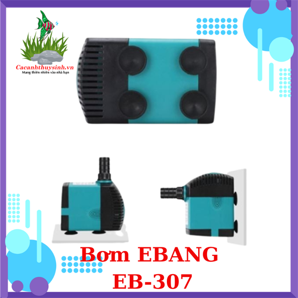 BƠM EBANG EB-307