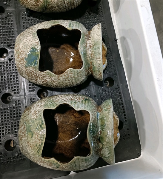 BÌNH THÁC NƯỚC XANH NHỎ